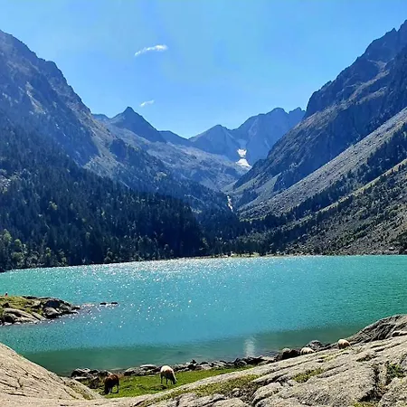 Le Georgina アパート *